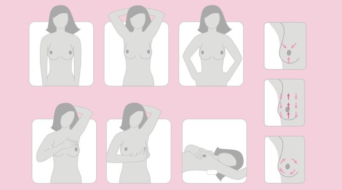 Mell önvizsgálati kisokos