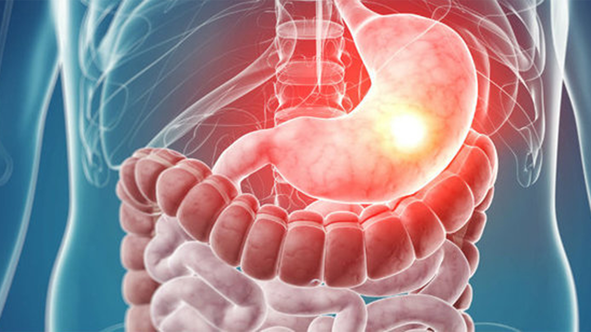 Belgyógyászat és Gasztroenterológia